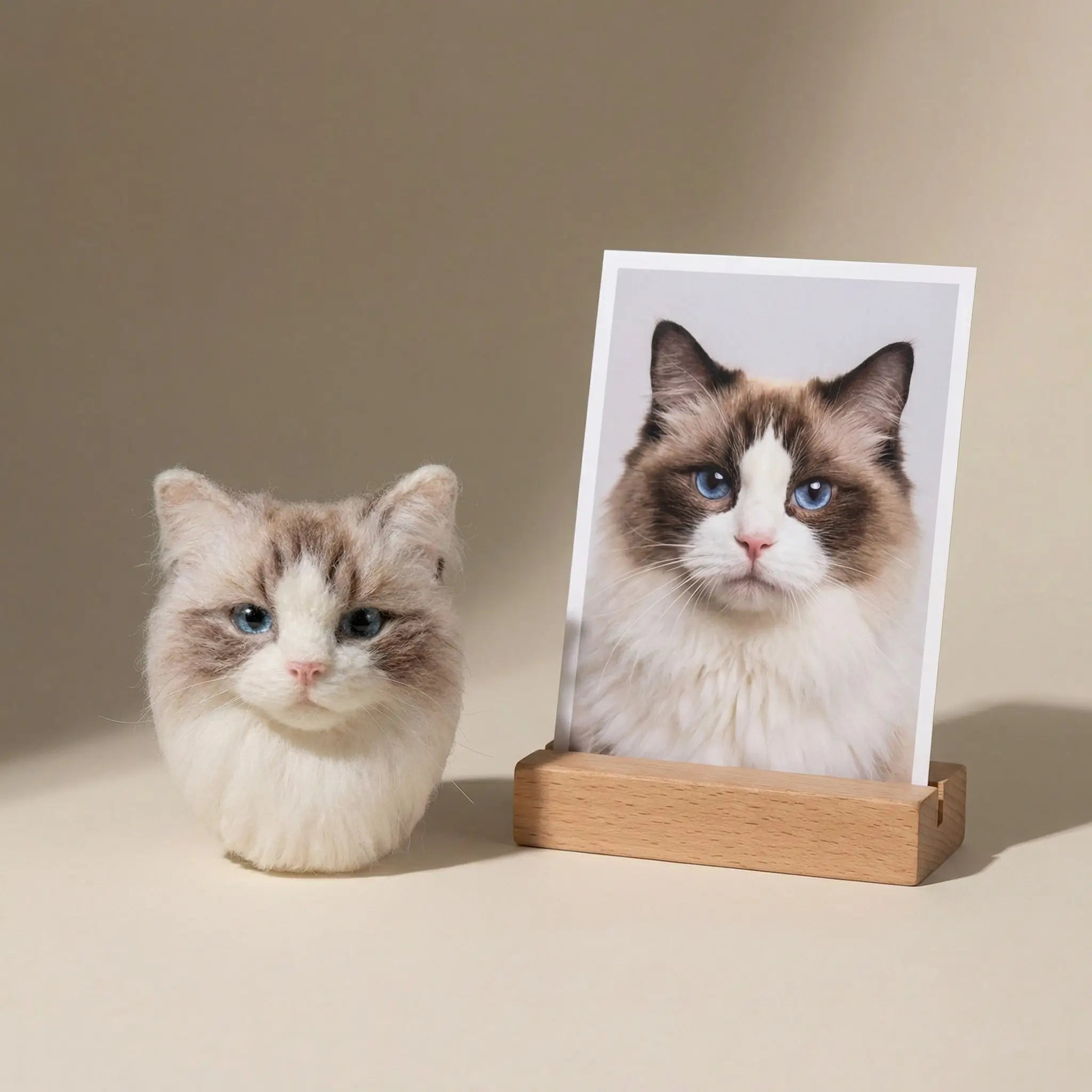 Needle felt cat brooch beside pet photo