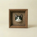 Framed plaster cat portrait sculpture