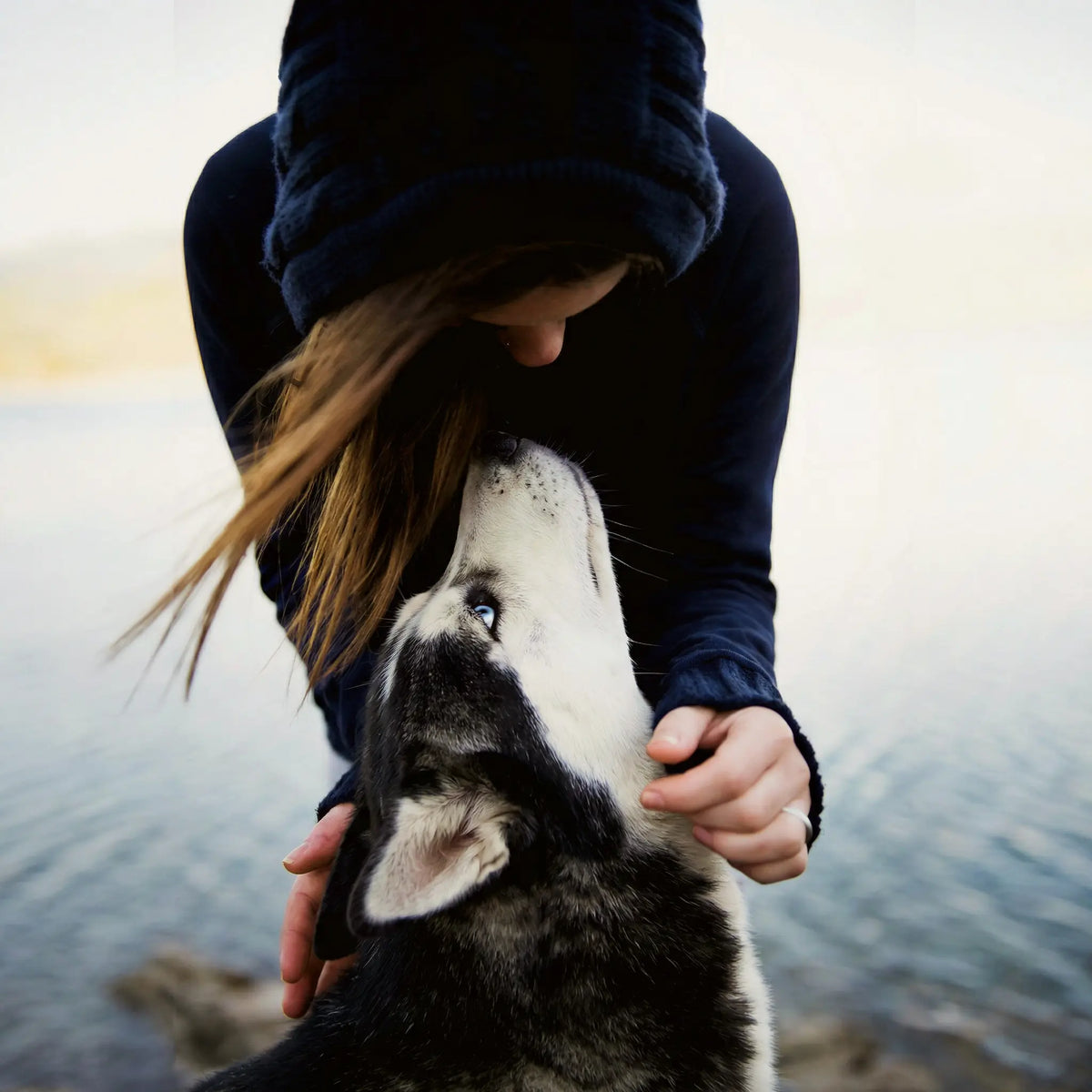 Gifts for Pet Lovers