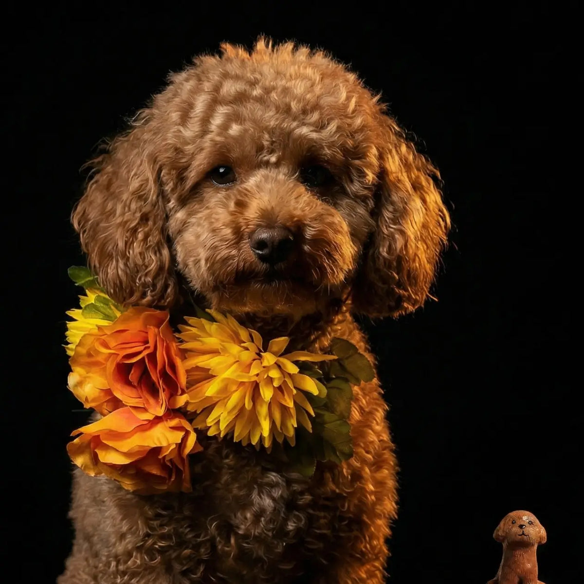 Pet Memorial Gifts