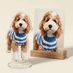 Dog standee displayed with pet photo