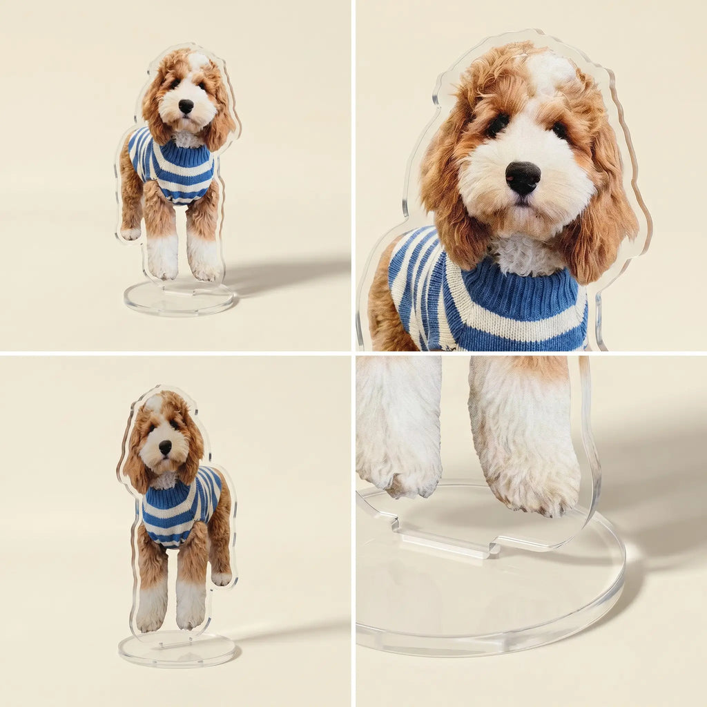 Detail views of acrylic dog standee
