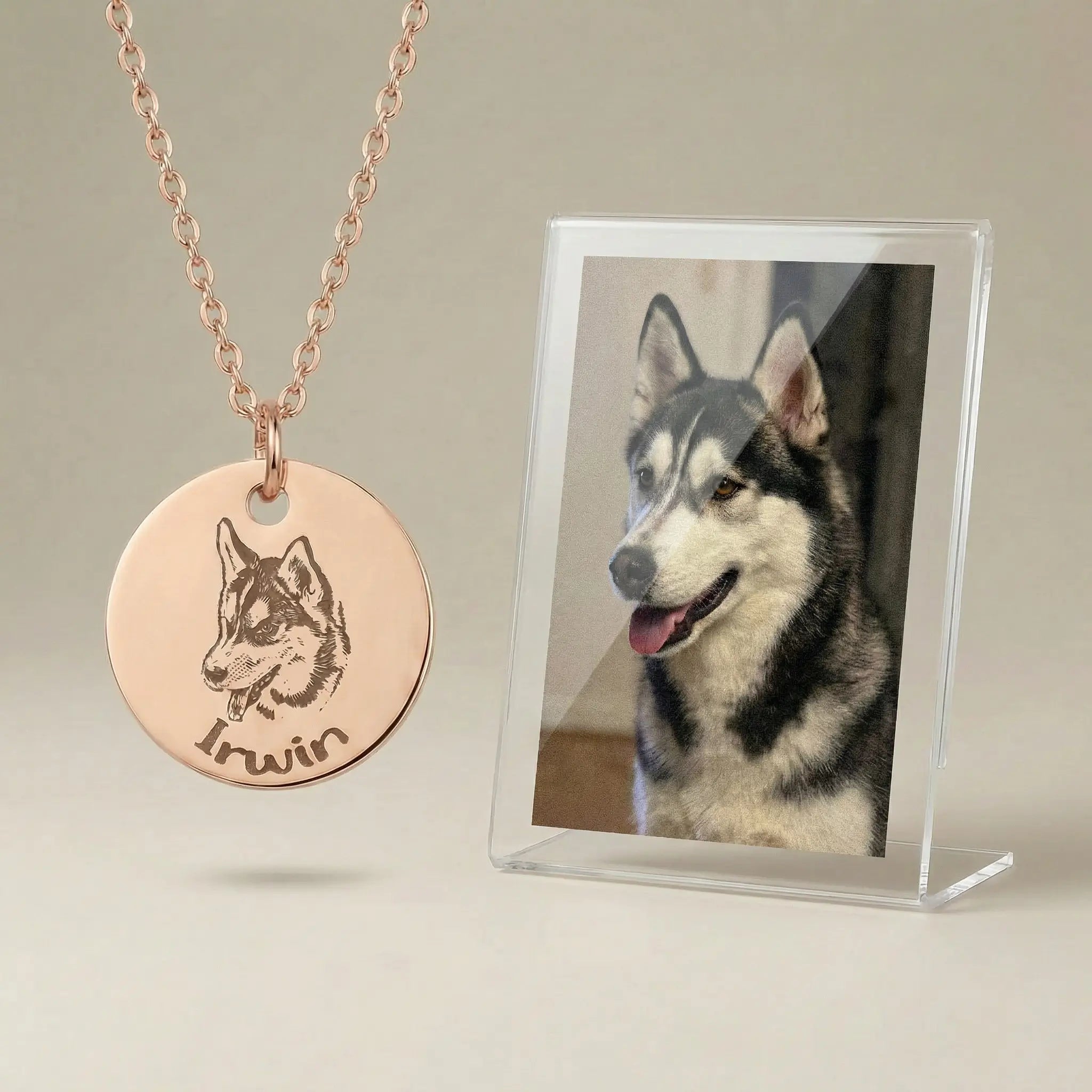 Pet portrait necklace displayed beside dog photo